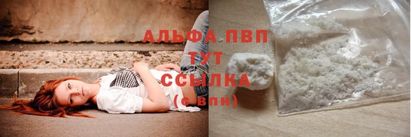 молекула духа Богородицк