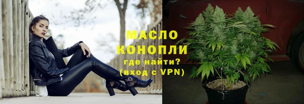 молекула духа Богородицк