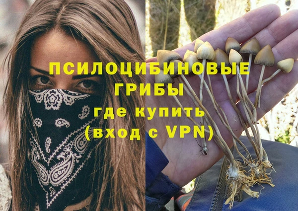 МДМА Богданович