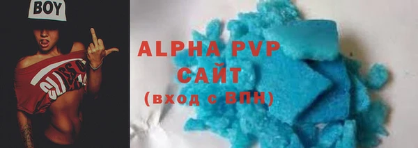 молекула духа Богородицк