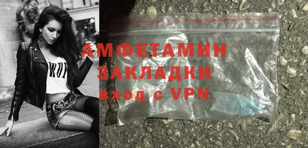 молекула духа Богородицк