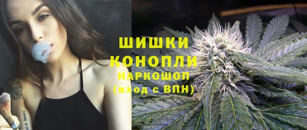 молекула духа Богородицк