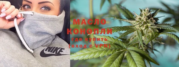 молекула духа Богородицк